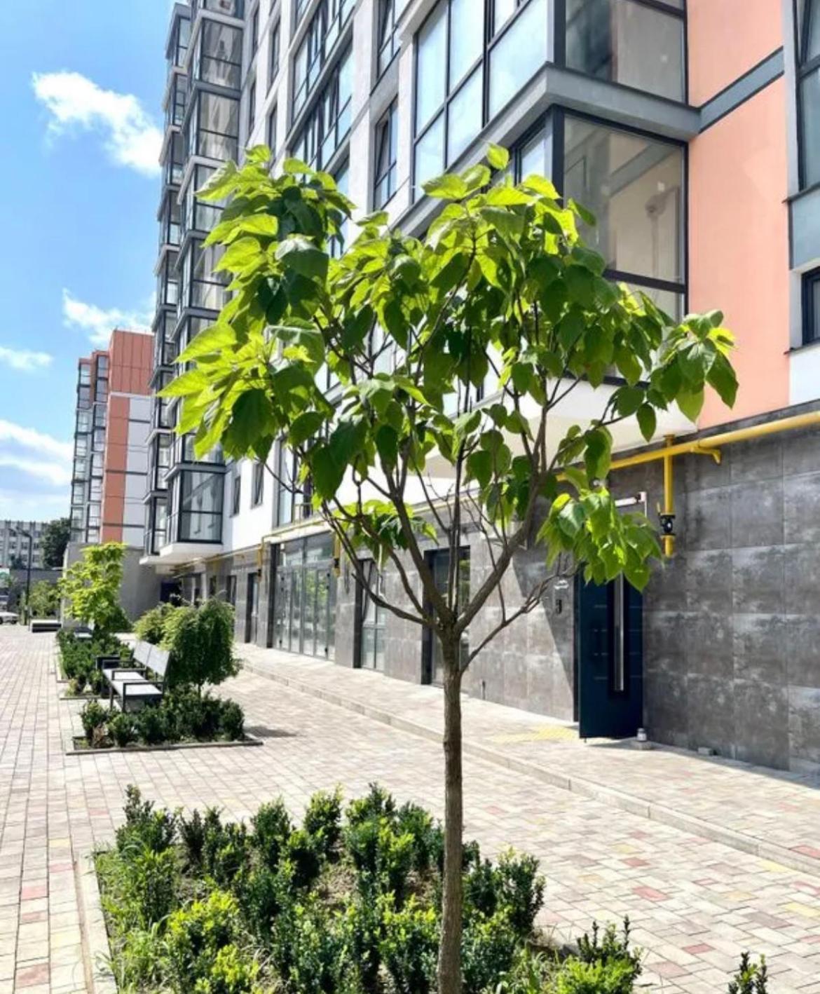 Квартира В Новому Жк Дрім Таун Lutsk Exterior photo